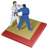 иконки judo, дзюдо,