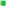 иконка bullet, green,