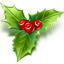 иконки mistletoe, омела белая, рождество, новый год,