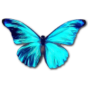 иконки Rhetenor Morpho, бабочка, butterfly,