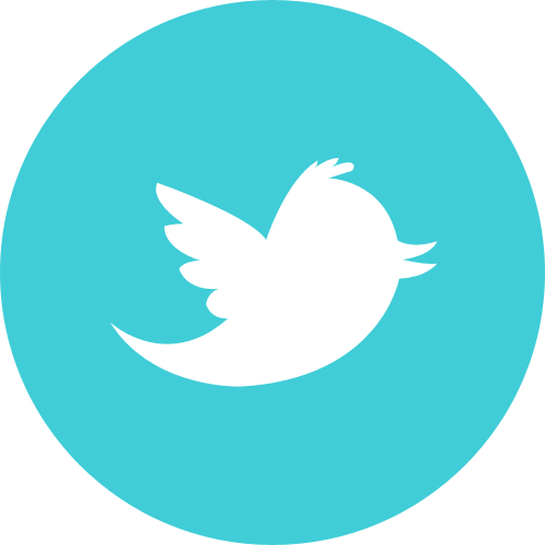 иконка twitter, твиттер, bird, птица, птичка,
