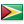 иконка Guyana, Гайана,