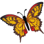 иконка Butterfly, бабочка,