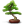 иконка baobab, дерево, tree, бонсай,