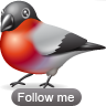 иконки bullfinch, следуй за мной, птичка, птица, bird,
