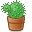 иконки cactus, кактус,
