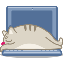 иконка кот, кошка, ноутбук, cat, laptop,