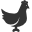 иконка курица, chicken,