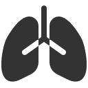 иконки lungs