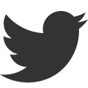 иконка twitter, твиттер