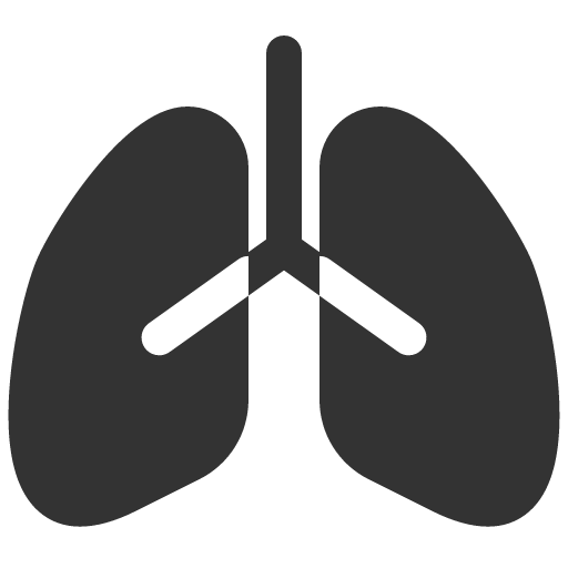 иконка lungs,
