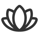 иконки flower lotus, flower, цветок, lotus