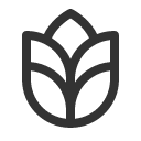 иконка grains