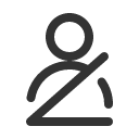 иконки seatbelt