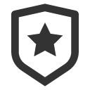 иконка shield star, shield, щит, star, звезда