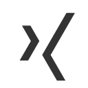 иконки xing