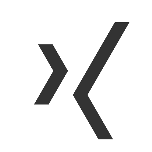 иконка xing,