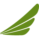 иконки ethiopian airlines, логотип, бренд
