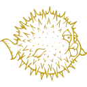 иконки openbsd, опенбсд, логотип, бренд
