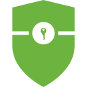 иконка spring security, спрингсекуритй, логотип, бренд