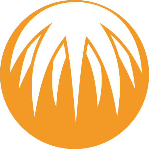 иконка bitcomet, биткомет, логотип, бренд,