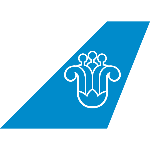 иконка china southern airlines, логотип, бренд,