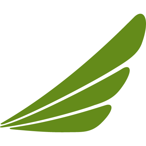 иконка ethiopian airlines, логотип, бренд,