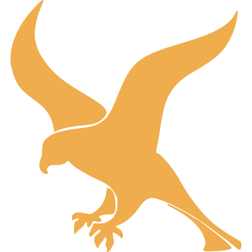 иконка falcon, фалкон, логотип, бренд,