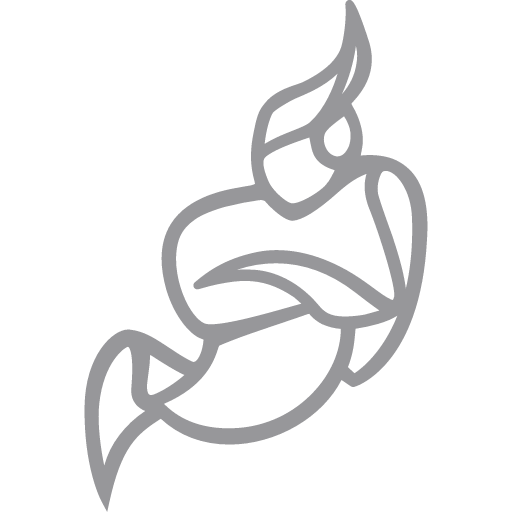 иконка jitsi, джитси, логотип, бренд,