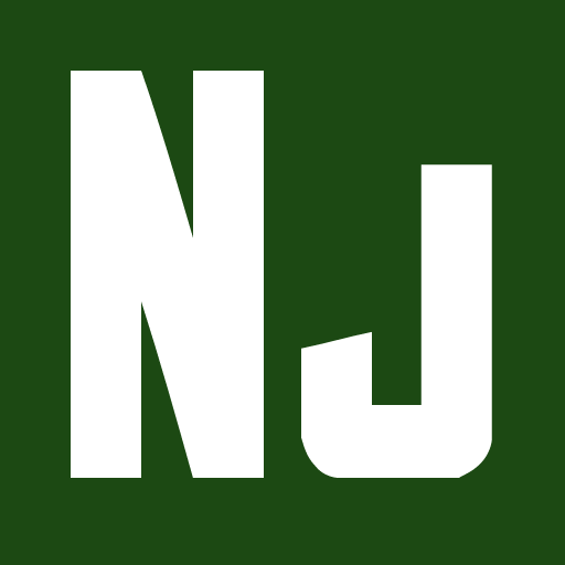 иконка nunjucks, нунджукс, логотип, бренд,