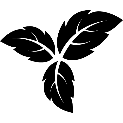 иконка trilium, трилиум, логотип, бренд,