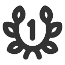 иконки laurel wreath 1, laurel, wreath, новый год