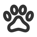 иконки paw