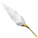 иконки plume, перо