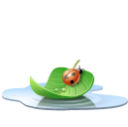 иконка leaf, листик, лист, божья коровка