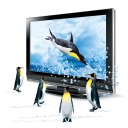 иконка 3D penguins, 3д, пингвины, животные, плазма, телевизор