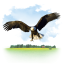 иконка animals, eagle, животные, орел, птица