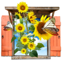 иконки flowers, sunflowers, цветы, подсолнухи
