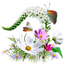 иконки flowers, wildflowers, цветы, букет, бабочки, бабочка