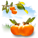 иконка fruits, persimmon, хурма, фрукт, фрукты