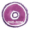 иконка DVDROM, диск