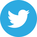 иконка twitter, твиттер, bird, птица, птичка