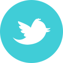 иконка twitter, твиттер, bird, птица, птичка
