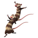 иконки Crash and Eddie, ледниковый период