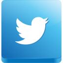 иконка twitter, твиттер