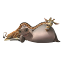 иконки Gloria and Melman, маданаскар