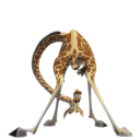 иконка Melman, мелман, мадагаскар
