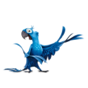 иконка Blue, попугай, рио