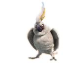 иконка Nigel, рио