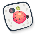 иконки суши, еда, sushi